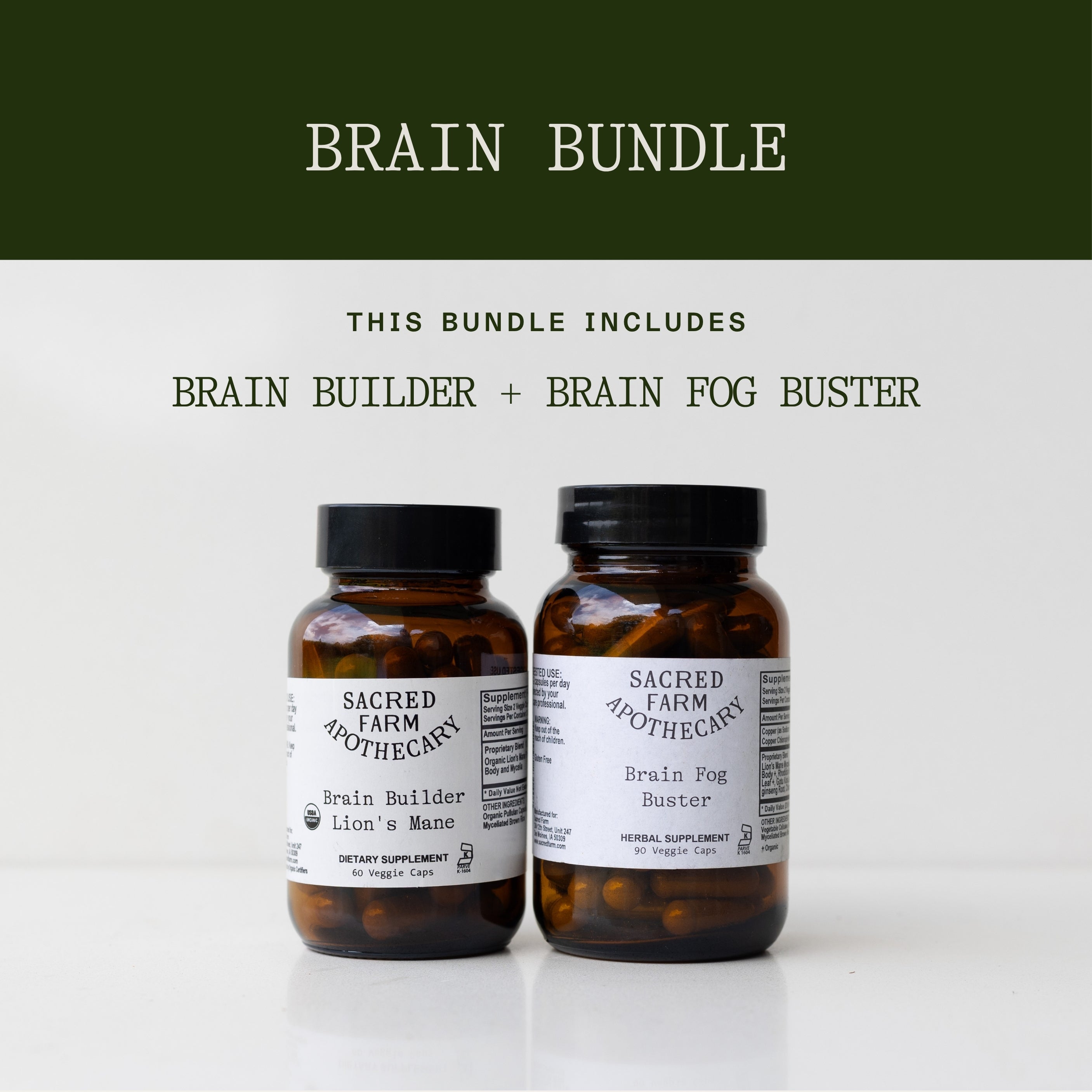 Brain Bundle