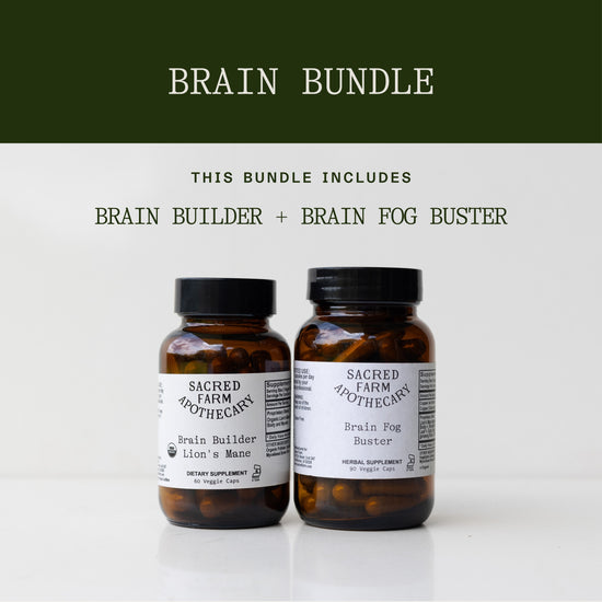 Brain Bundle