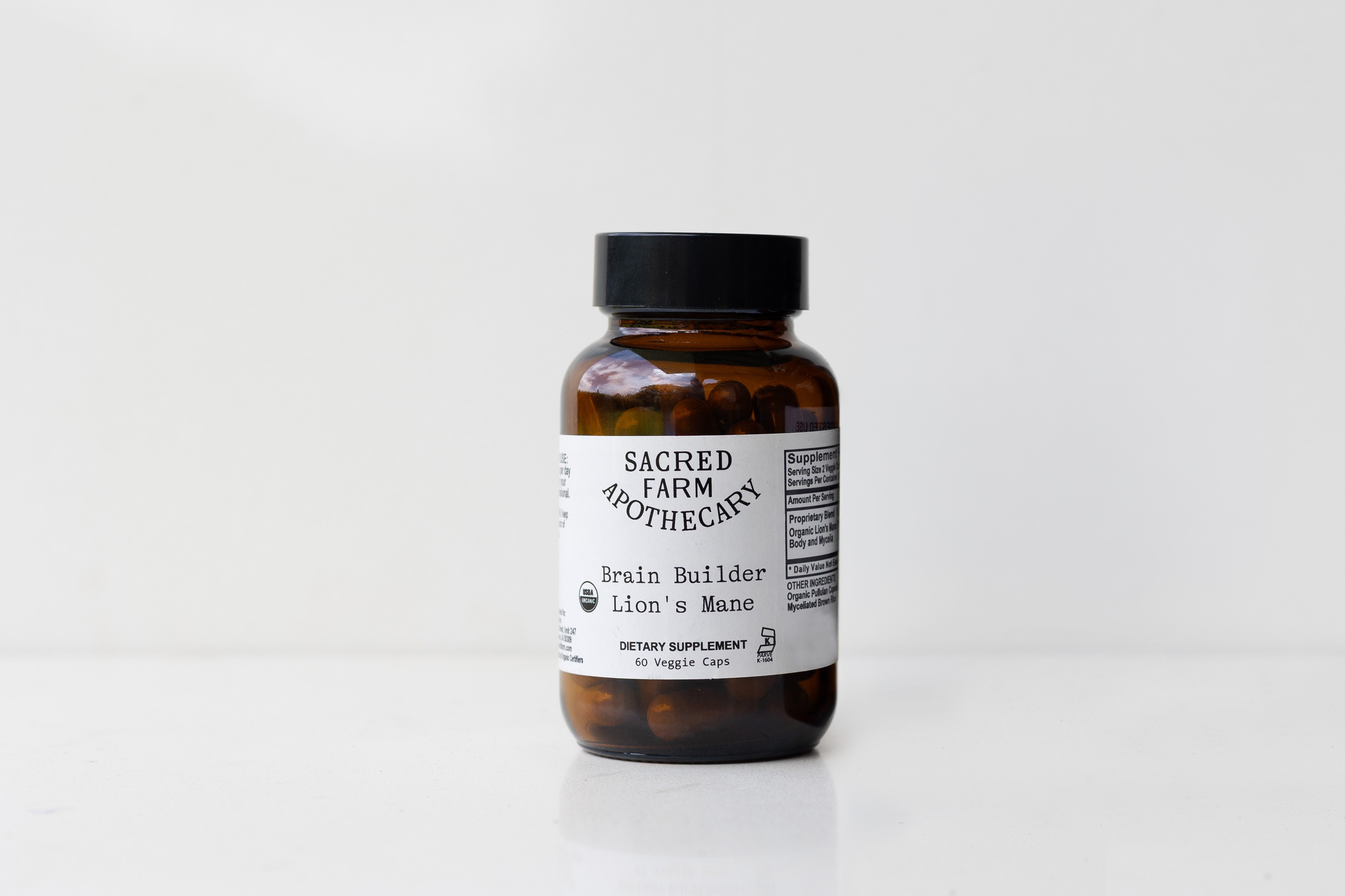 Brain Builder – Lion's Mane