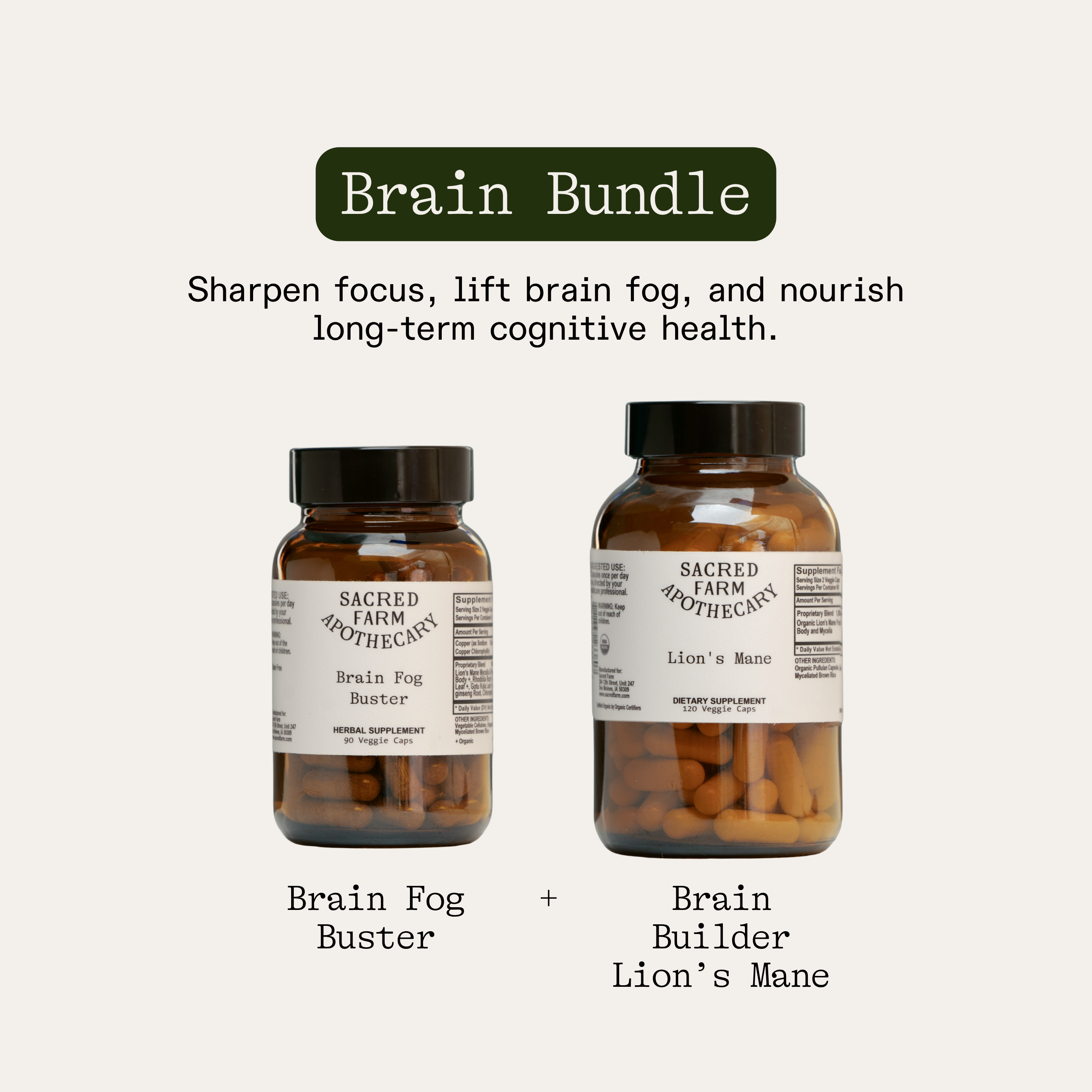 Brain Bundle