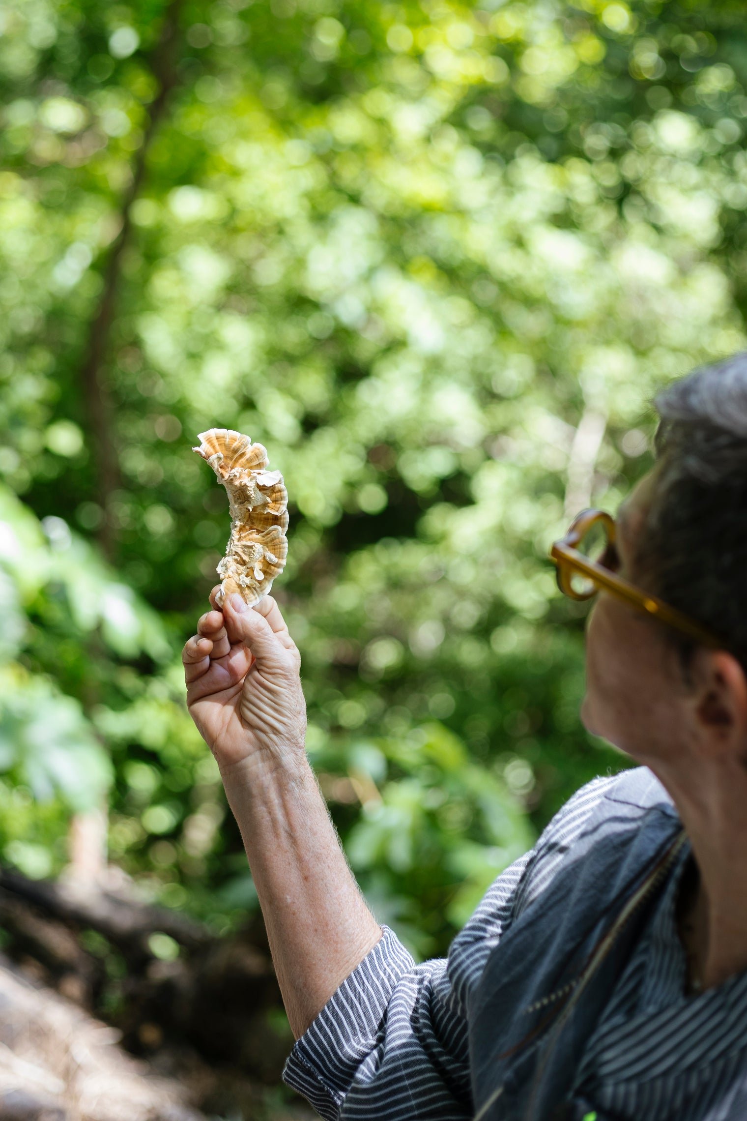Kathryn holding up a Turkey Tail mushroom in the forest at the farm